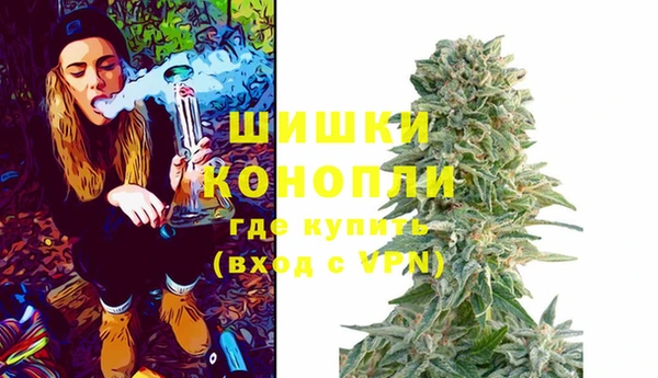 бошки Алексин