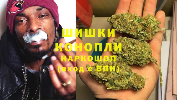 бошки Алексин
