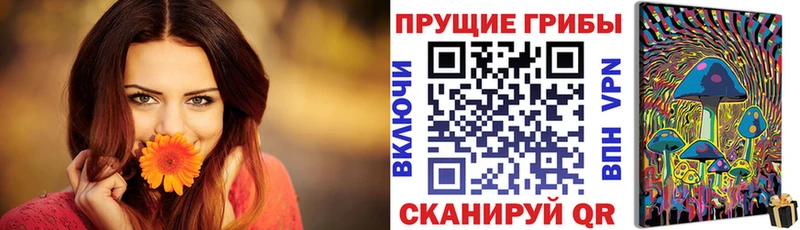 купить цена Новоалександровск Галлюциногенные грибы Magic Shrooms