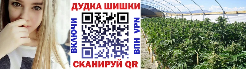 МАРИХУАНА Amnesia Новоалександровск
