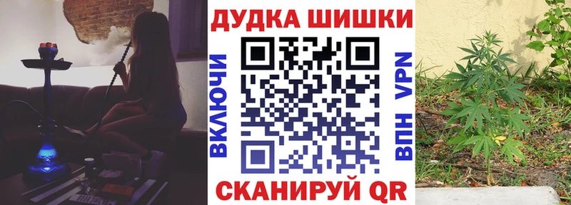 Бошки Шишки VHQ  Новоалександровск 
